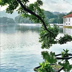 Charlton Rest Канди